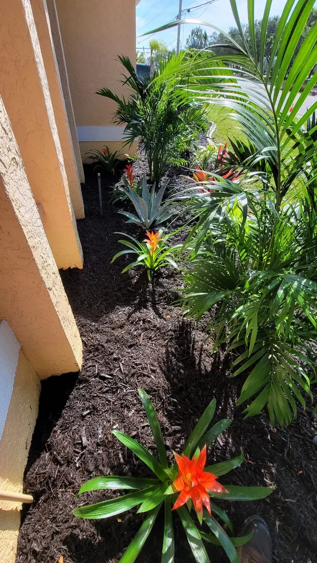 Tropical garden bed with bromeliads installed by RDZ Home Services