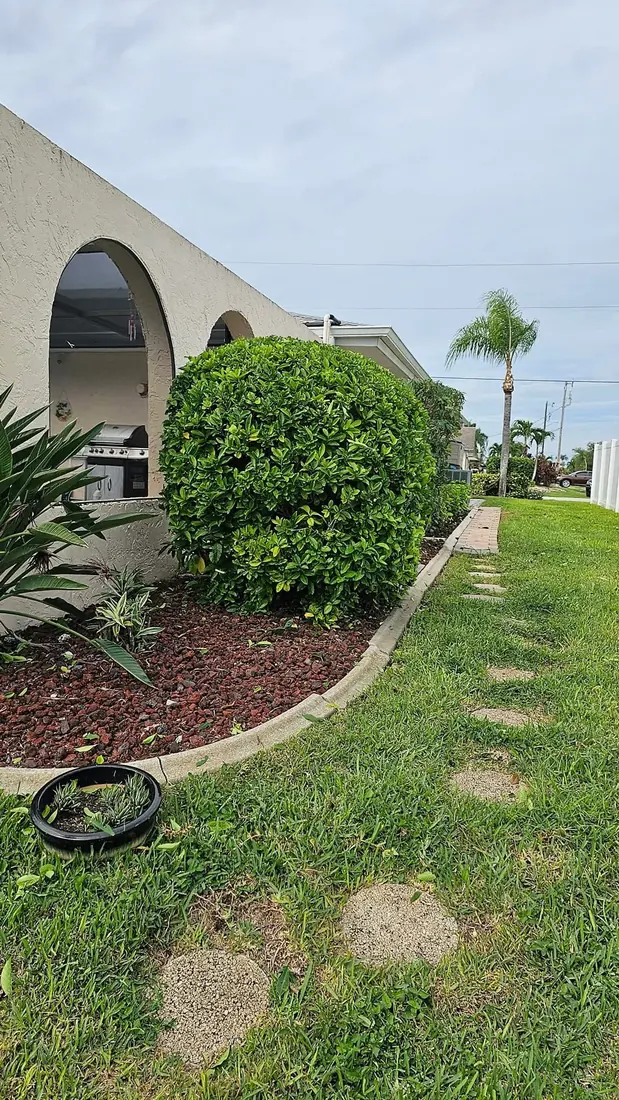 Sculpted hedge trimming by RDZ Home Services