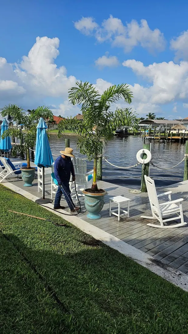 Waterfront dock plant maintenance by RDZ Home Services